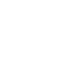 Loop_Logo_fink_WHITE (1)